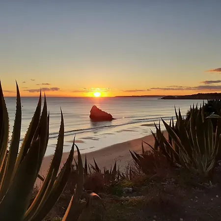 Апартаменты Family Sea View Портиман